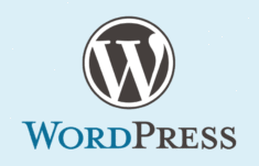 Article WordPress