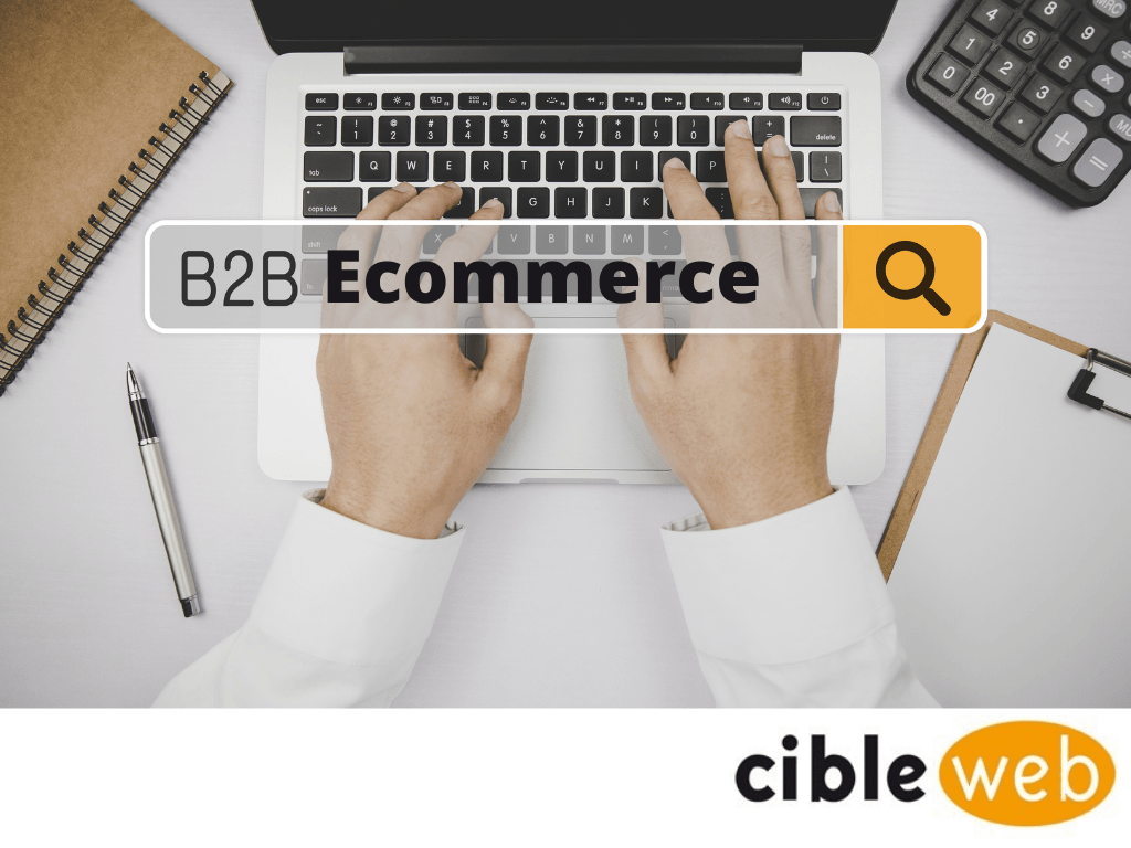 Article ecommerce B2B