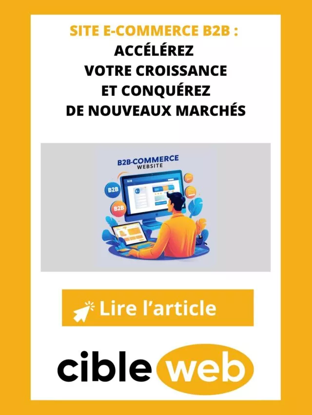 site-e-commerce-B2B