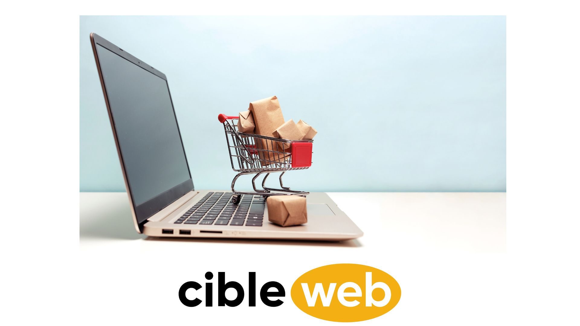 bilan e commerce francais 2025